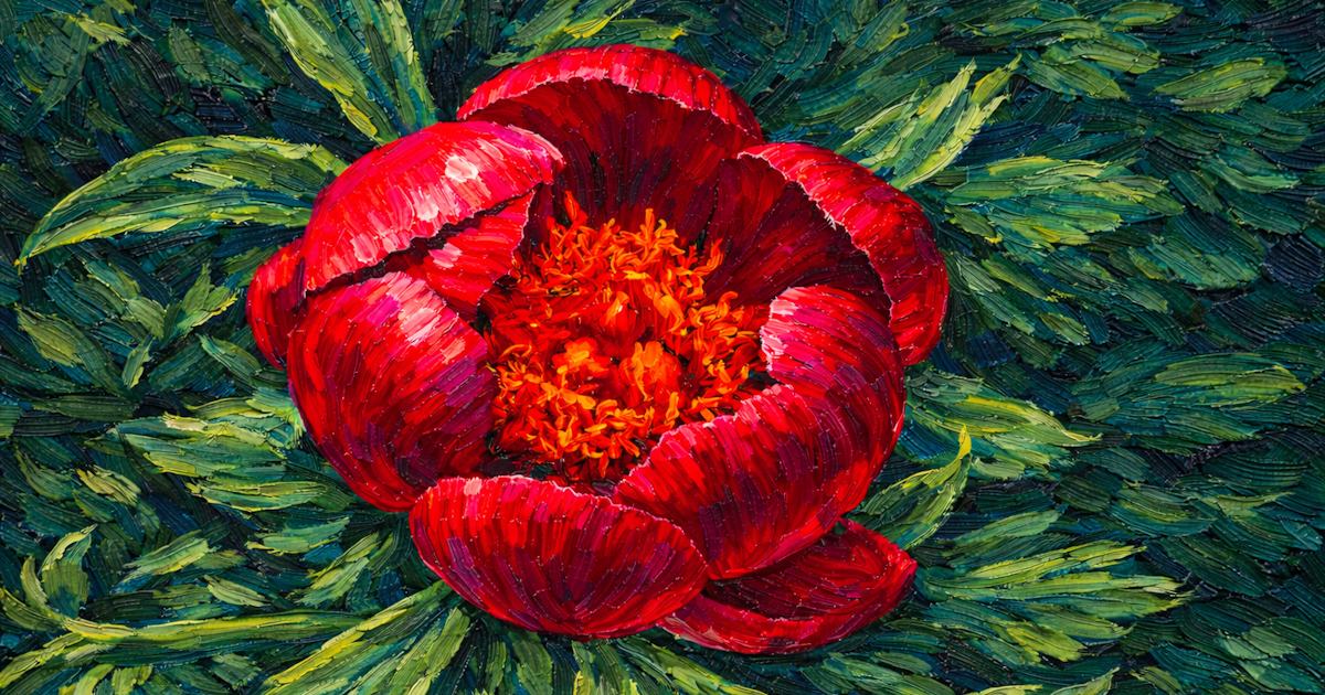 Eine wunderschöne rote Blume auf einem grünen Blätter-Bett